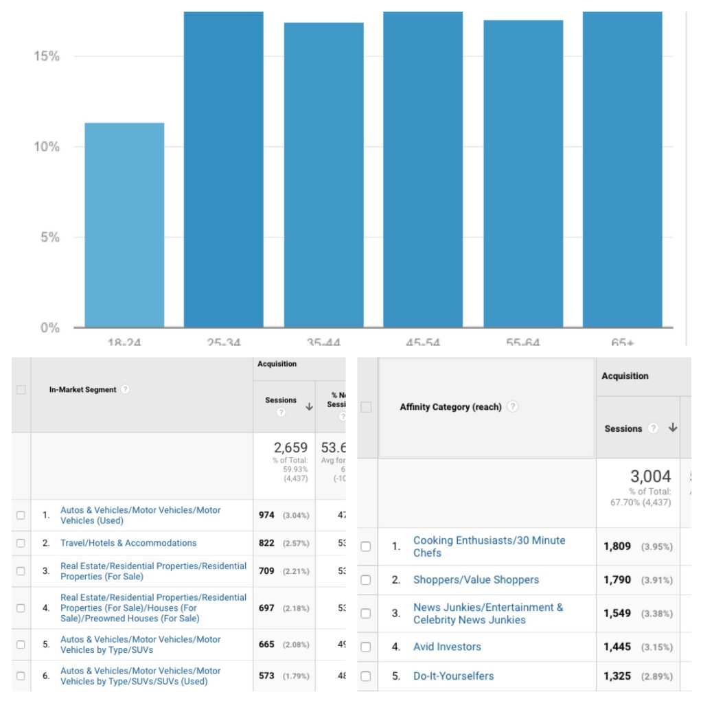 Google Analytics graphs showing information